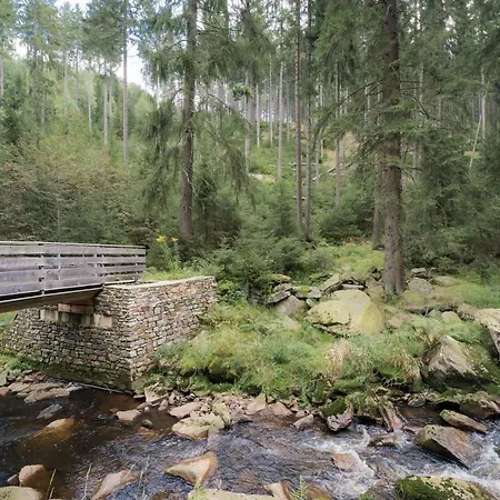 Апартаменты Ferienwohnung Heinzebank Heinzebank