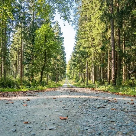 Appartamento Ferienwohnung Heinzebank *