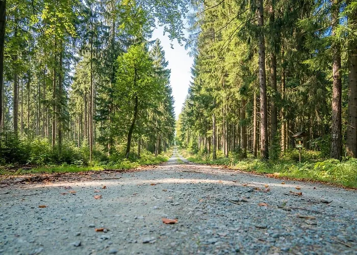 Apartment Ferienwohnung Heinzebank *